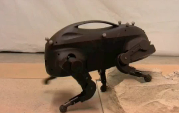 LittleDog - четырёхлапый сверхпроходимый робот (видео)