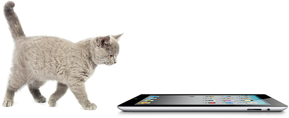 Friskies — игры для кошек на iPad 