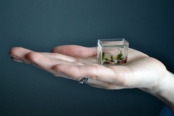 Обзор самых маленьких гаджетов в мире (10 фото)