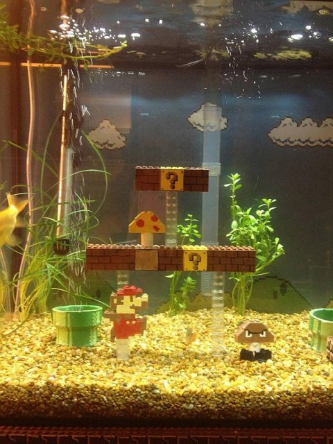 Guy Creates Super Mario Bros Scene Inside Fish Tank, Not the Underwater Level (9 pics + video)