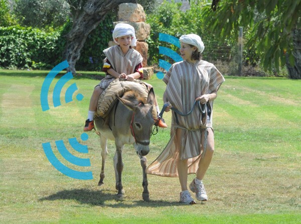 В Израиле на ослов установили WiFi роутеры