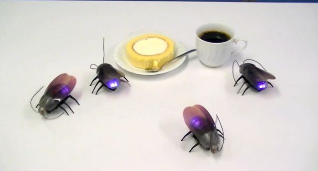 Японские роботы-тараканы для iOS (3 фото + видео)