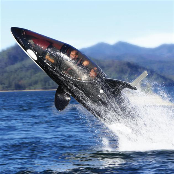 Подводный скутер за $100 000 (3 фото + видео)