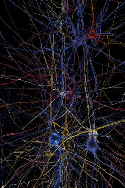 Cуперкомпьютер за 1 млрд евро - симуляция мозга человека (11 фото)