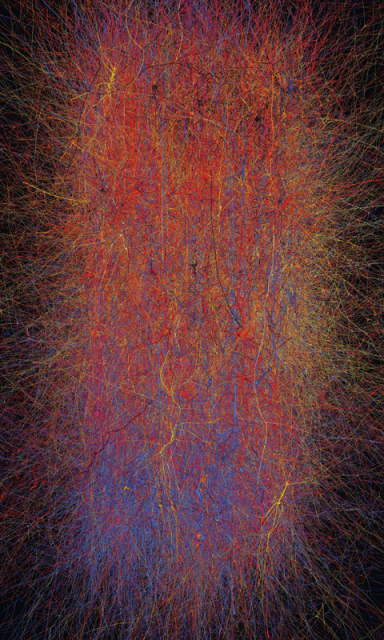 Cуперкомпьютер за 1 млрд евро - симуляция мозга человека (11 фото)