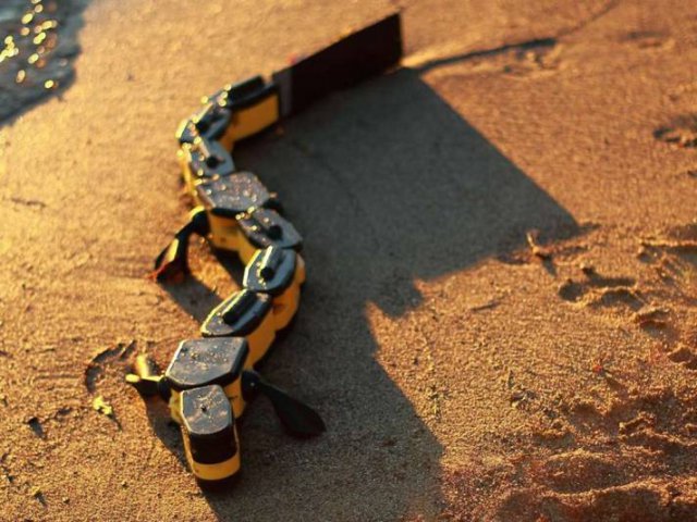 Земноводный робот Salamandra robotica II (4 фото + видео)