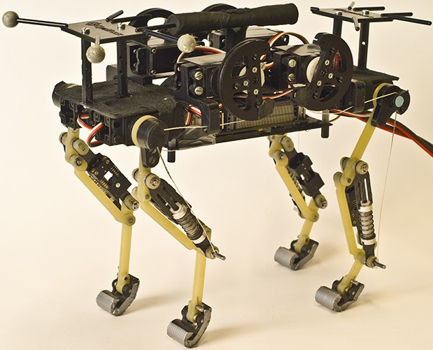 Catbot - четырехногий робот из Швейцарии (видео)
