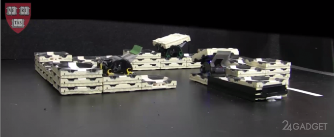 Роботы-термиты из Гарвардского университета (2 фото + 2 видео)