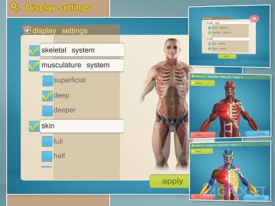 Easy Anatomy 3D 5.0 Приложение для освоения анатомии человека.