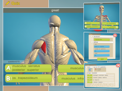 Easy Anatomy 3D 5.0 Приложение для освоения анатомии человека.