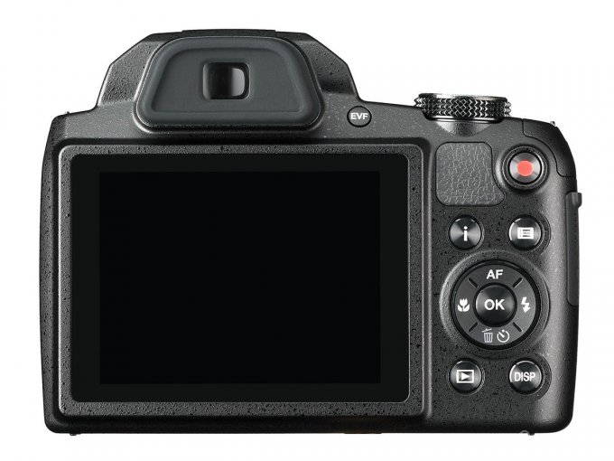 Цифровая камера для начинающих фотографов (6 фото)