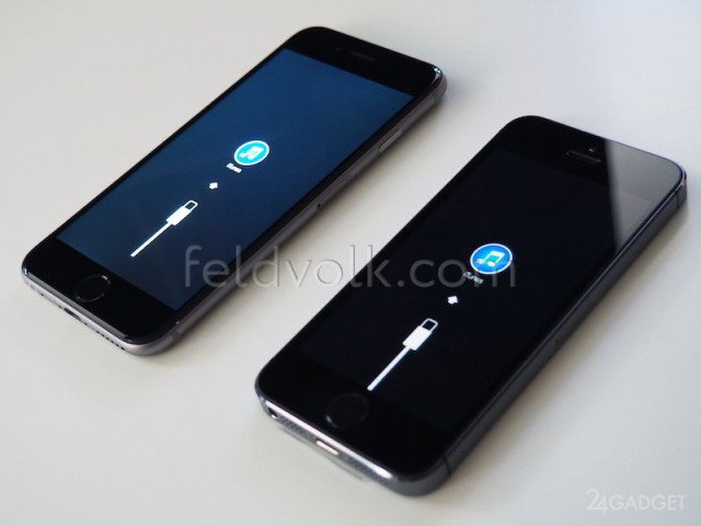 Выяснением характеристик iPhone 6 занялись детективы (2 фото)