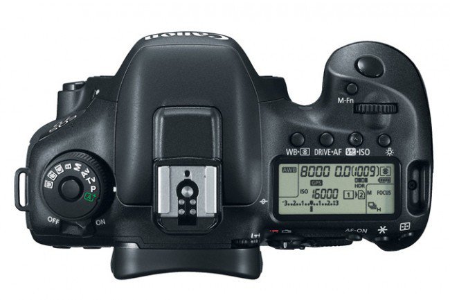Canon EOS 7D Mark II - долгожданное обновление топовой камеры (8 фото)