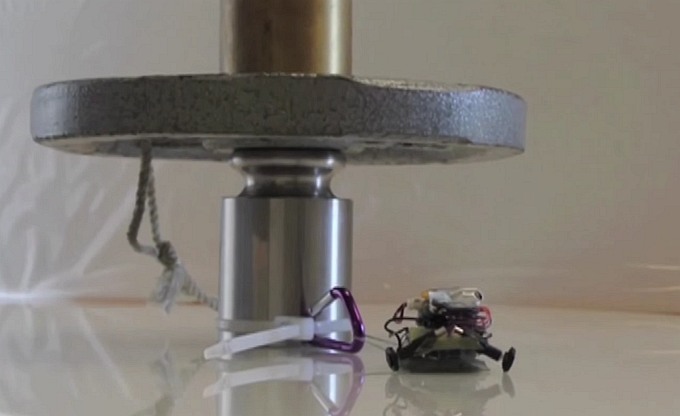 Крошечные сверхсильные роботы способны перемещаться по вертикали с грузом (видео)