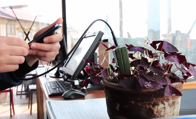 E-Kaia зарядит гаджеты с помощью растений (4 фото)