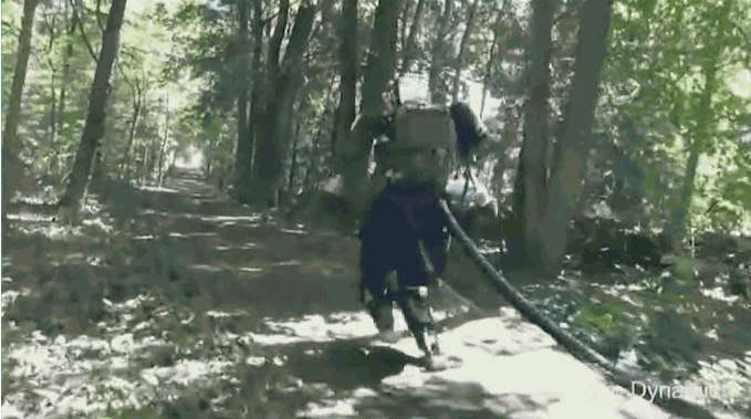 Робот Atlas от Boston Dynamics отправился на прогулку в лес (2 видео)