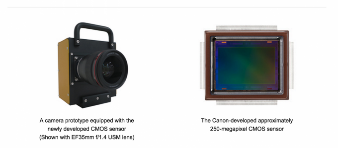 Canon анонсировала 250-мегапиксельный сенсор для DSLR-камер (2 фото)