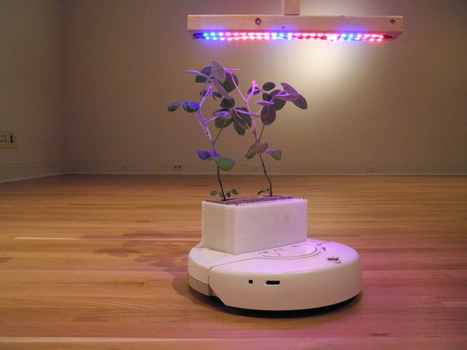 Робот-горшок сам ищет свет для растений (видео)