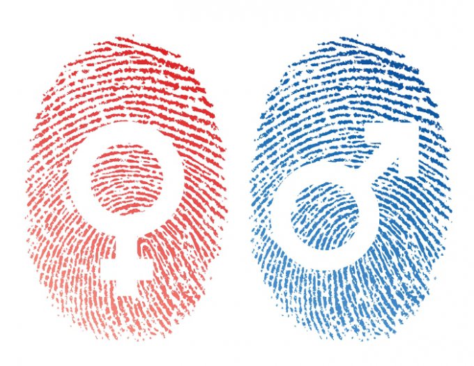 По отпечатку пальца определят пол подозреваемого (2 фото)