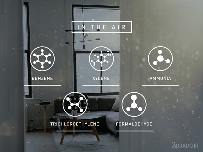 Воздухоочиститель из умного горшка и растения (12 фото + видео)
