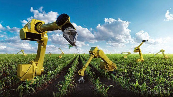 Японских фермеров заменят роботами