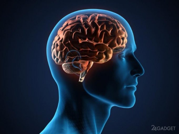 Ученые нашли в мозге человека «центр Плацебо» (3 фото)