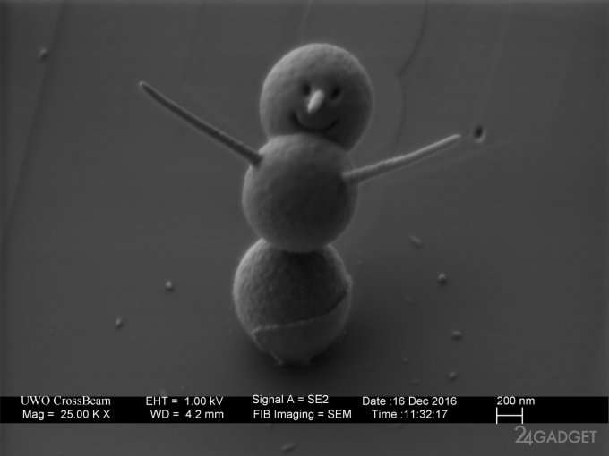 Самого маленького в мире снеговика видно только в микроскоп (3 фото)