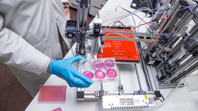 Учёные распечатали человеческую кожу на 3D-принтере (видео)