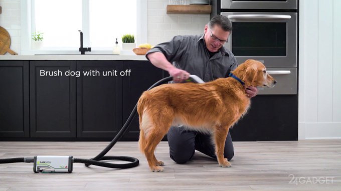 Новый гаджет в разы упрощает процесс мытья собаки (6 фото + 2 видео)