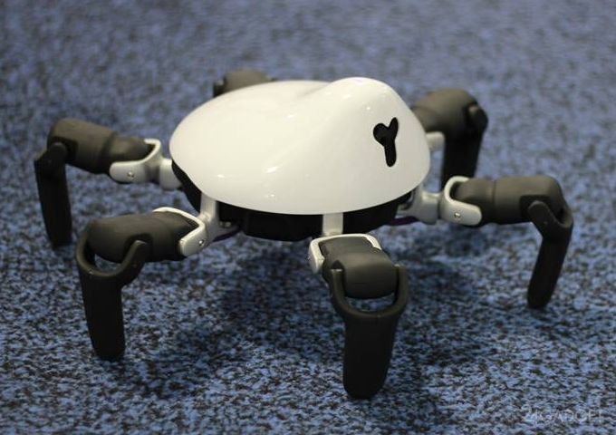 Образовательный робот-паук НЕХА (9 фото + видео)