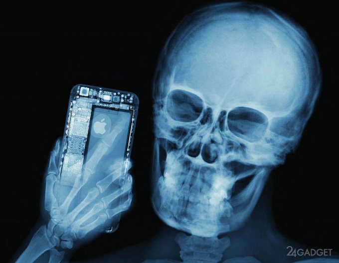 Рентген-взгляд на популярные механизмы (35 фото + видео)