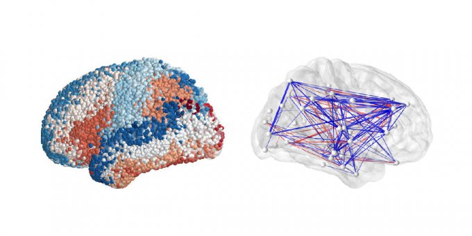 Полная электрическая карта мозга объясняет принцип запоминания 