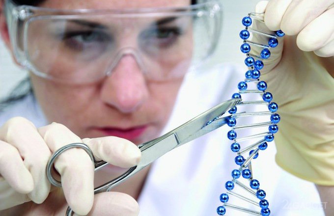Новый метод CRISPR не нарушает целостность ДНК