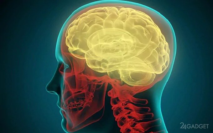 Мозговой имплант остановит насильников и любителей поесть