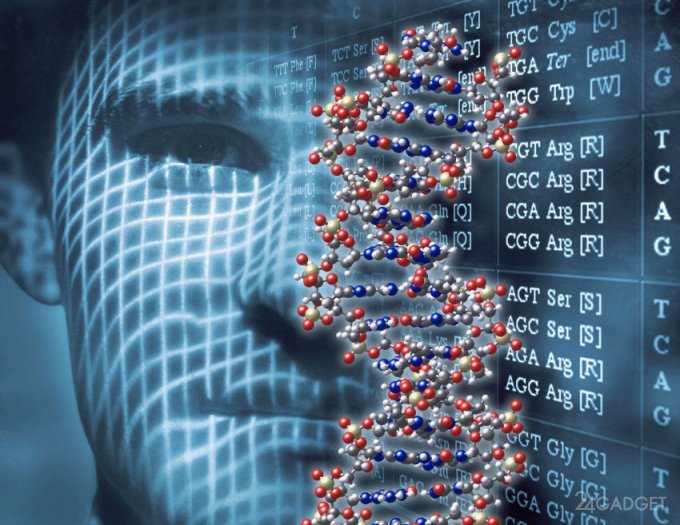 Новый метод позволяет быстро идентифицировать человека по ДНК