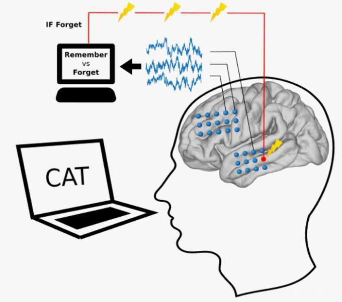Искусственный интеллект умеет развивать человеческую память