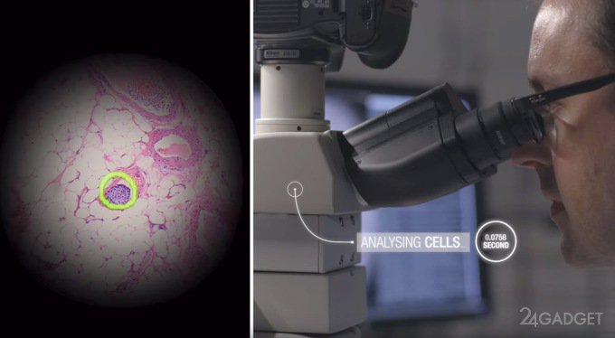 Google доработала микроскоп для выявления онкологии (3 фото + видео)