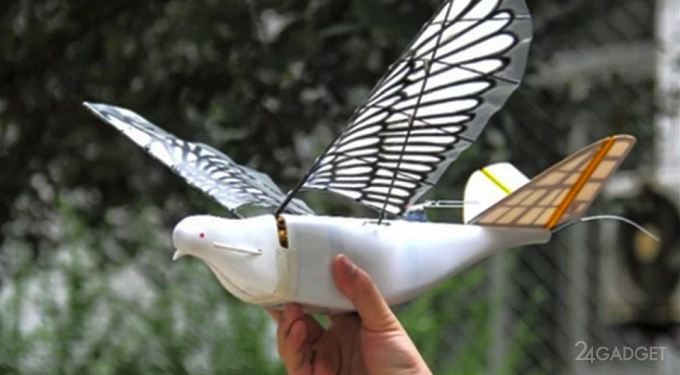Китайцы маскируют шпионские дроны под голубей (2 фото)