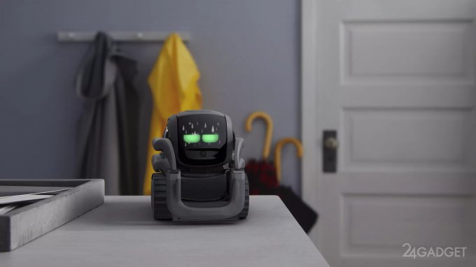 Vector — эмоциональный робот-компаньон (9 фото + видео)