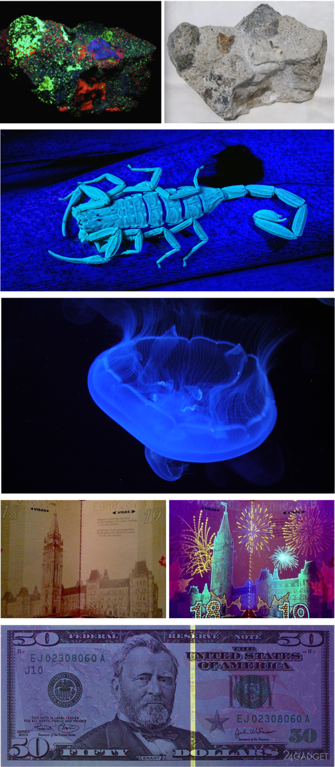 ReveaLED — ультрафиолетовый фонарик со вспышкой (7 фото + видео)