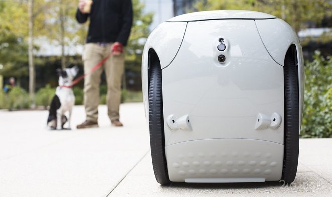 Робот носильщик Gita доставит груз весом до 18 кг (4 фото)