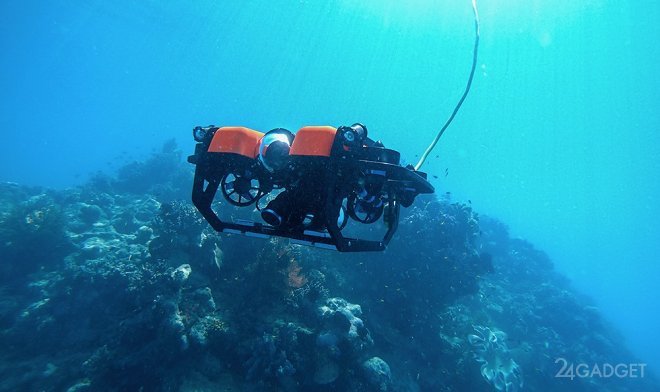 Teleportal разрешил всем желающим в онлайн режиме управлять подводным дроном в Большом Барьерном рифе