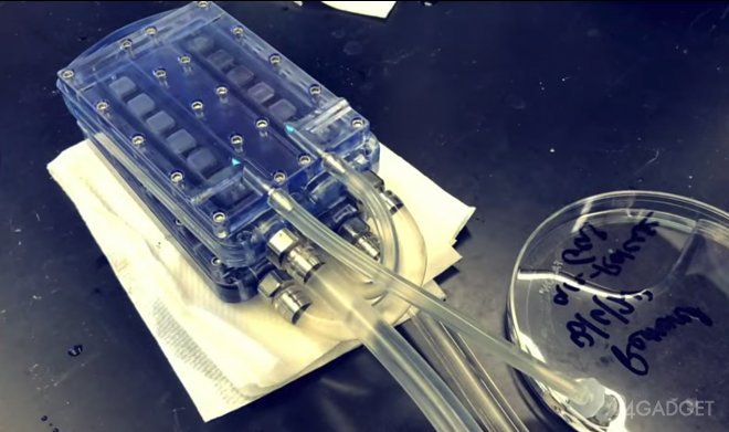 Первые тестирования искусственной почки с гемодиализом прошли успешно (видео)