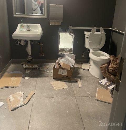 Воры пробрались в магазин Apple через туалет