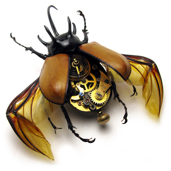 Стимпанк насекомые от Mike Libby (14 фото)