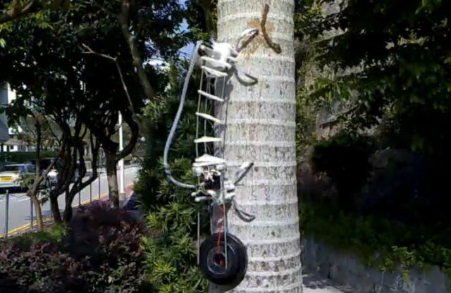 Лазающий по деревьям робот Treebot (видео)