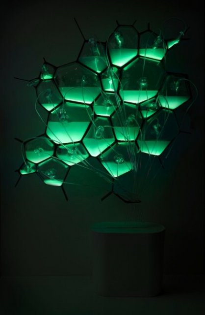 Биолюминесцентные лампы от Philips (6 фото)