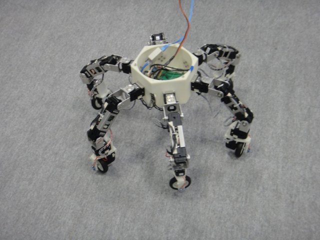 Насекомоподобный робот Asterisk (9 фото + видео)