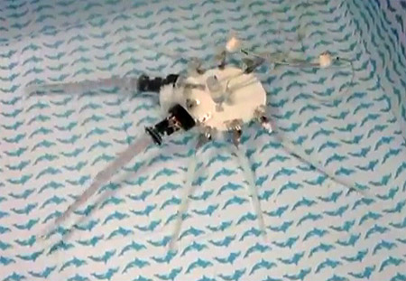 Robotic Octopus Takes First Betentacled Steps (2 video)