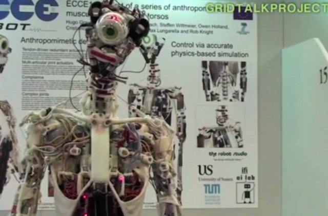 Робот с анатомическим строением человека (видео)